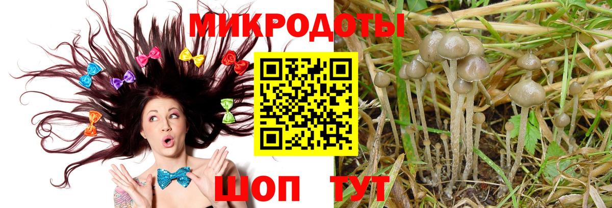 Псилоцибиновые грибы мухоморы  Вход с VPN  Галлюциногенные грибы GOLDEN TEACHER  Чайковский 