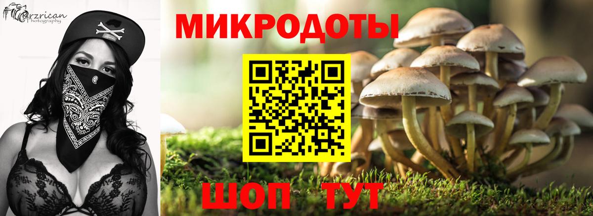 Псилоцибиновые грибы прущие грибы Чайковский